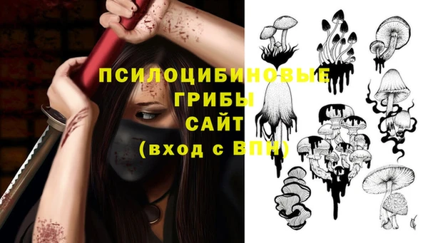 крисы Алексин