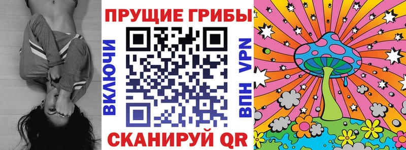 Галлюциногенные грибы MAGIC MUSHROOMS где купить наркотик Лагань