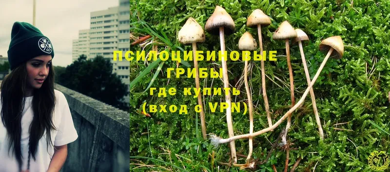 ОМГ ОМГ ONION  Лагань  это официальный сайт  Псилоцибиновые грибы Magic Shrooms 